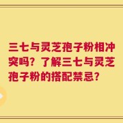 三七与灵芝孢子粉相冲突吗？了解三七与灵芝孢子粉的搭配禁忌？