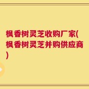 枫香树灵芝收购厂家(枫香树灵芝并购供应商)