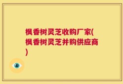 枫香树灵芝收购厂家(枫香树灵芝并购供应商)
