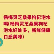 杨梅灵芝桑果枸杞泡水喝(杨梅灵芝桑果枸杞泡水好处多，新鲜健康口感美味)