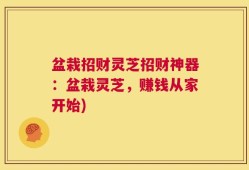 盆栽招财灵芝招财神器：盆栽灵芝，赚钱从家开始)