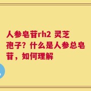 人参皂苷rh2 灵芝孢子？什么是人参总皂苷，如何理解