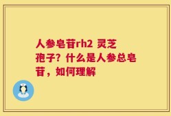 人参皂苷rh2 灵芝孢子？什么是人参总皂苷，如何理解