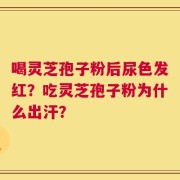 喝灵芝孢子粉后尿色发红？吃灵芝孢子粉为什么出汗？