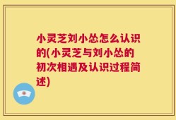 小灵芝刘小怂怎么认识的(小灵芝与刘小怂的初次相遇及认识过程简述)