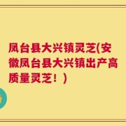 凤台县大兴镇灵芝(安徽凤台县大兴镇出产高质量灵芝！)