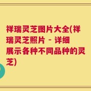 祥瑞灵芝图片大全(祥瑞灵芝照片 - 详细展示各种不同品种的灵芝)