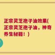 正宗灵芝孢子油效果(正宗灵芝孢子油，神奇养生秘籍！)