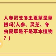 人参灵芝冬虫夏草是草根吗(人参、灵芝、冬虫夏草是不是草本植物？)