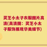 灵芝小太子衣服图片高清(高清图：灵芝小太子服饰展现华美细节)