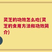 灵芝的功效怎么吃(灵芝的食用方法和功效简介)