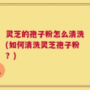 灵芝的孢子粉怎么清洗(如何清洗灵芝孢子粉？)