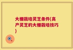 大棚栽培灵芝条件(高产灵芝的大棚栽培技巧)
