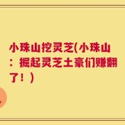 小珠山挖灵芝(小珠山：掘起灵芝土豪们赚翻了！)