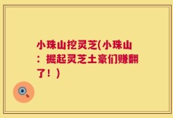 小珠山挖灵芝(小珠山：掘起灵芝土豪们赚翻了！)