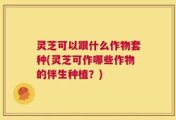灵芝可以跟什么作物套种(灵芝可作哪些作物的伴生种植？)