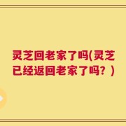 灵芝回老家了吗(灵芝已经返回老家了吗？)