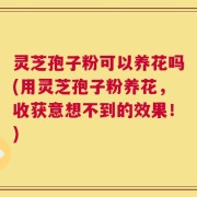 灵芝孢子粉可以养花吗(用灵芝孢子粉养花，收获意想不到的效果！)
