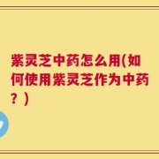 紫灵芝中药怎么用(如何使用紫灵芝作为中药？)