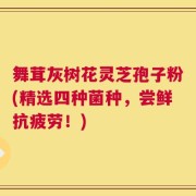 舞茸灰树花灵芝孢子粉(精选四种菌种，尝鲜抗疲劳！)