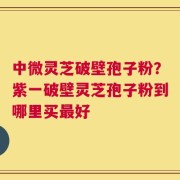 中微灵芝破壁孢子粉？紫一破壁灵芝孢子粉到哪里买最好
