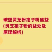 破壁灵芝粉孢子粉盛益(灵芝孢子粉的益处及原理解析)