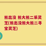 熊出没 熊大熊二采灵芝(熊出没熊大熊二寻宝灵芝)