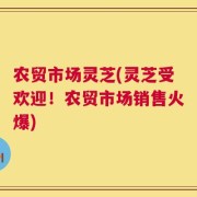 农贸市场灵芝(灵芝受欢迎！农贸市场销售火爆)