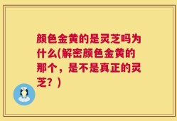 颜色金黄的是灵芝吗为什么(解密颜色金黄的那个，是不是真正的灵芝？)