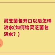 灵芝菌包开口以后怎样浇水(如何给灵芝菌包浇水？)
