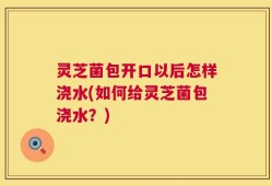 灵芝菌包开口以后怎样浇水(如何给灵芝菌包浇水？)