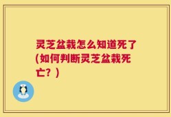 灵芝盆栽怎么知道死了(如何判断灵芝盆栽死亡？)