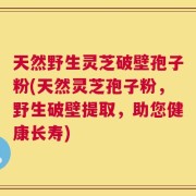 天然野生灵芝破壁孢子粉(天然灵芝孢子粉，野生破壁提取，助您健康长寿)