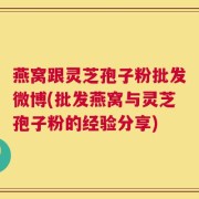 燕窝跟灵芝孢子粉批发微博(批发燕窝与灵芝孢子粉的经验分享)