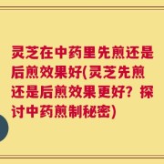 灵芝在中药里先煎还是后煎效果好(灵芝先煎还是后煎效果更好？探讨中药煎制秘密)