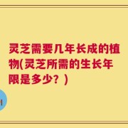 灵芝需要几年长成的植物(灵芝所需的生长年限是多少？)