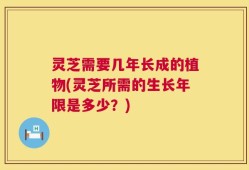灵芝需要几年长成的植物(灵芝所需的生长年限是多少？)