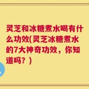 灵芝和冰糖煮水喝有什么功效(灵芝冰糖煮水的7大神奇功效，你知道吗？)