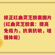 修正红曲灵芝胶囊图片(红曲灵芝胶囊：提高免疫力，抗衰抗敏，增强体能)