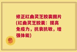 修正红曲灵芝胶囊图片(红曲灵芝胶囊：提高免疫力，抗衰抗敏，增强体能)
