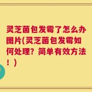 灵芝菌包发霉了怎么办图片(灵芝菌包发霉如何处理？简单有效方法！)