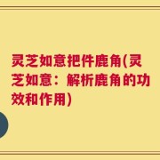 灵芝如意把件鹿角(灵芝如意：解析鹿角的功效和作用)
