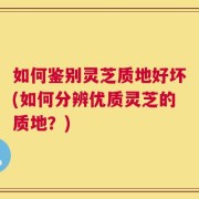 如何鉴别灵芝质地好坏(如何分辨优质灵芝的质地？)