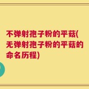 不弹射孢子粉的平菇(无弹射孢子粉的平菇的命名历程)