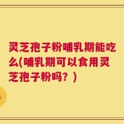 灵芝孢子粉哺乳期能吃么(哺乳期可以食用灵芝孢子粉吗？)