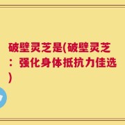 破壁灵芝是(破壁灵芝：强化身体抵抗力佳选)