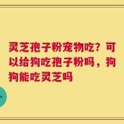 灵芝孢子粉宠物吃？可以给狗吃孢子粉吗，狗狗能吃灵芝吗