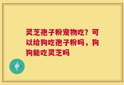 灵芝孢子粉宠物吃？可以给狗吃孢子粉吗，狗狗能吃灵芝吗
