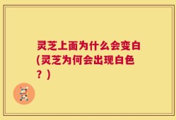 灵芝上面为什么会变白(灵芝为何会出现白色？)
