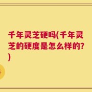 千年灵芝硬吗(千年灵芝的硬度是怎么样的？)